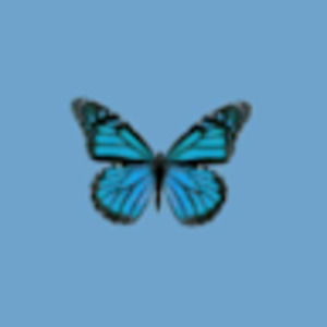 Meet your Posher, Naiya